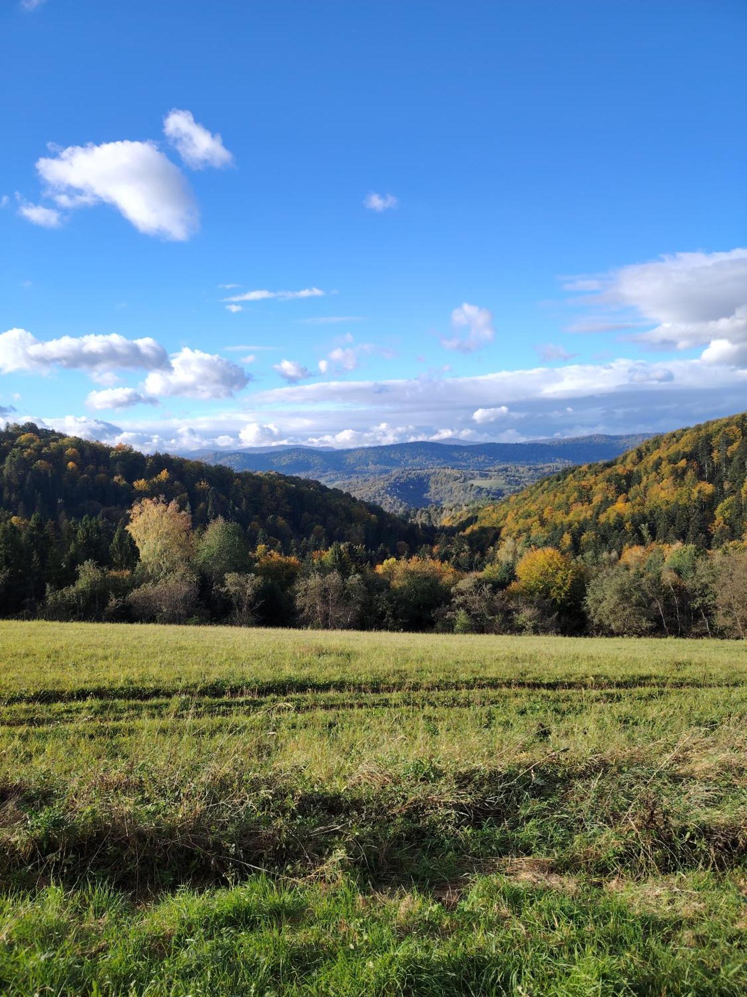 Lisi Zakatek Villa Czarna  Buitenkant foto